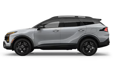 Dutch Miller Kia of Charlotte in Charlotte NC